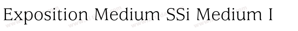 Exposition Medium SSi Medium Italic字体转换